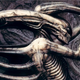 Image for article titled The Most Unforgettable Creations of H. R. Giger